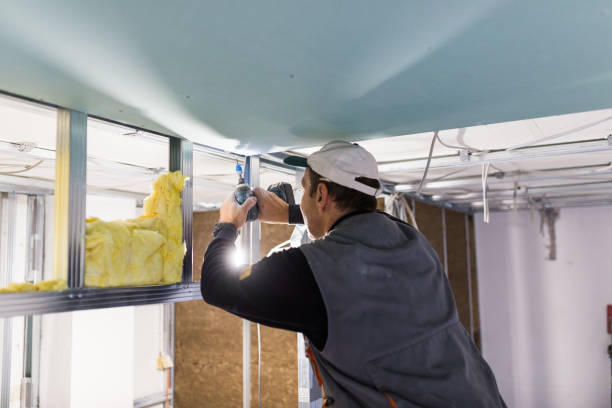 Professional Insulation Contractor in Avon, IN