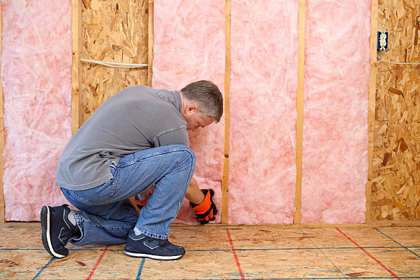 Best Specialized Insulation Services in Avon, IN